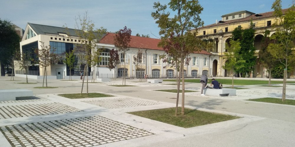 Università degli Studi del Piemonte Orientale "Amedeo Avogadro"