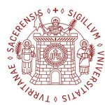 University of Sassari